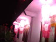 Wesak-Laternen beleuchten bei Nacht das Chathura-Kinderheim in Sri Lanka 