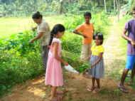 die Kinder helfen bei der Gartenarbeit im Chathura-Kinderheim in Sri Lanka mit