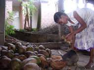 taeglich wird das Mark der Kokosnuss zum Essen im Chathura-Kinderheim verwendet 
