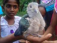 die Maedchen vom Chathura-Kinderheim haben einen Jungvogel gefunden. 