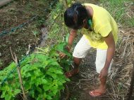 Gartenarbeit beim Chathura-Kinderheim