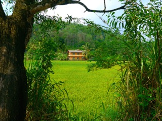 Eingebettet in leuchtend grüne Reisfelder, das Chathura Kinderheim