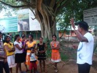 die Mädchen vom Chathura-Kinderheim besuchen den Udawalawe-Nationalpark