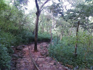 der Weg auf den Wedasiti Kanda bei Katharagama