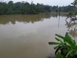 schlimme Überschwemmungen im November 2016 rund ums Chathura-Kinderheim 