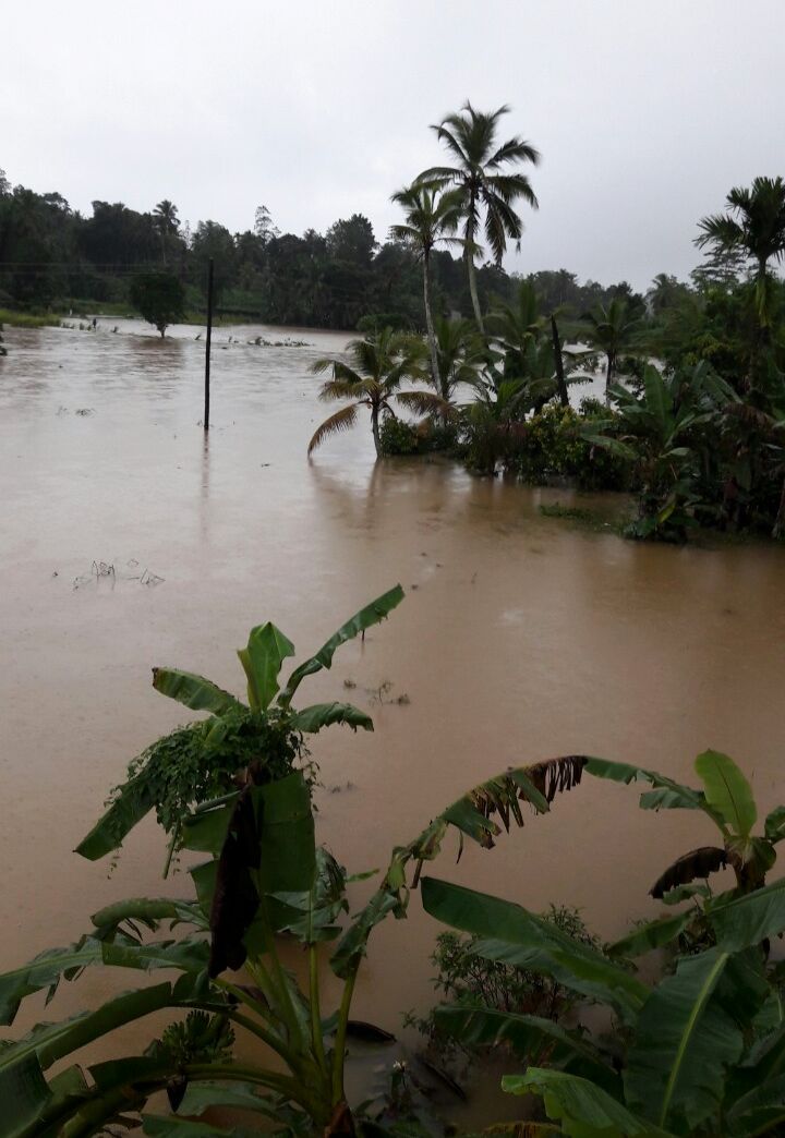 wieder mal Hochwasser rund ums Chathura-Kinderheim 