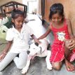 Prawud, den jungen Haushund im Chathura-Kinderheim lieben alle sehr.