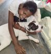 Prawud, den jungen Haushund im Chathura-Kinderheim lieben alle sehr.