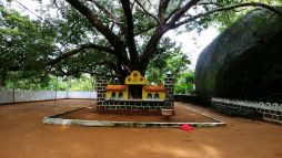 der Pidurangala Royal Gave Tempel